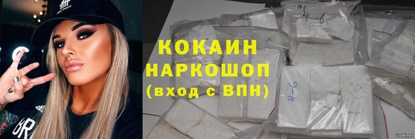 прущие крисы Пересвет