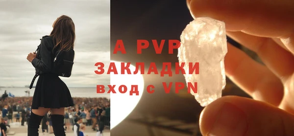 ПСИЛОЦИБИНОВЫЕ ГРИБЫ Переславль-Залесский