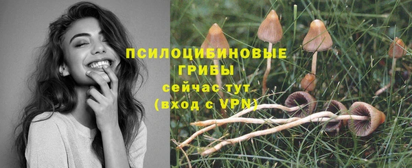 ПСИЛОЦИБИНОВЫЕ ГРИБЫ Переславль-Залесский