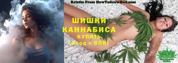 ПСИЛОЦИБИНОВЫЕ ГРИБЫ Переславль-Залесский