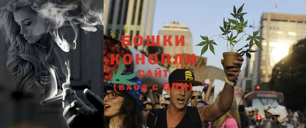 прущие крисы Пересвет