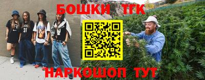 крисы Лесосибирск