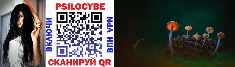 блэк спрут tor  Тихорецк  Псилоцибиновые грибы Cubensis 