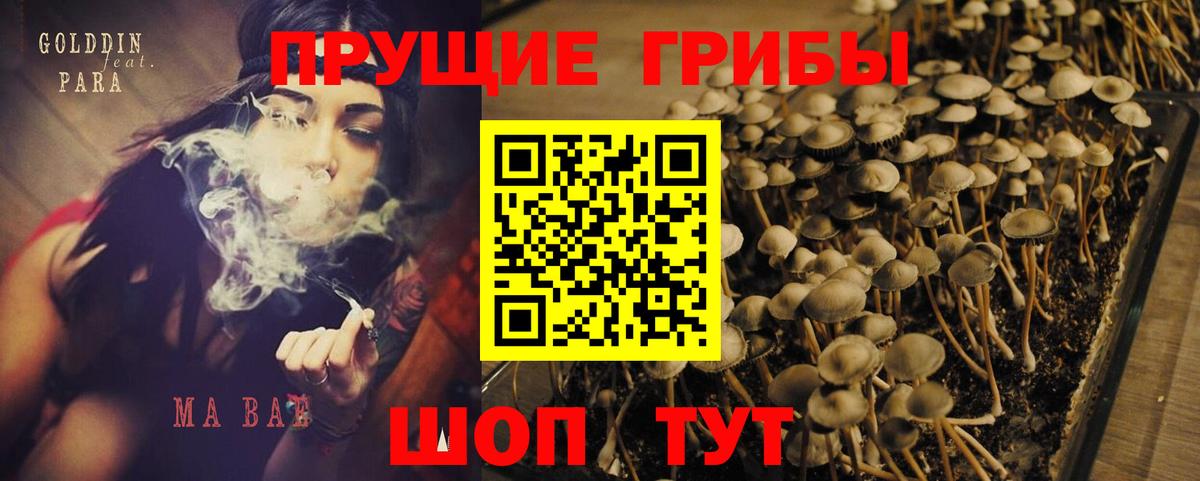 Псилоцибиновые грибы Cubensis  Вход с VPN  Тихорецк 