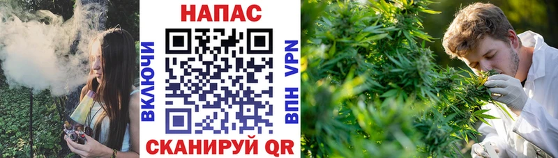 Бошки марихуана гибрид  цены наркотик  Тихорецк 
